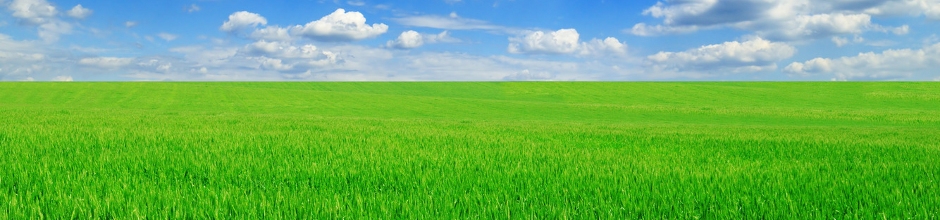 par-mums-agronoma-konsultacijas
